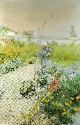 i kakstradgarden Carl Larsson